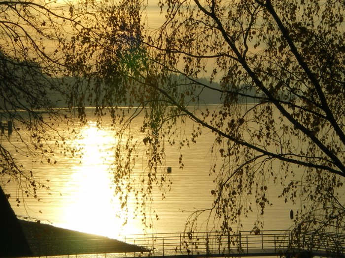 Meine Fotos-0010